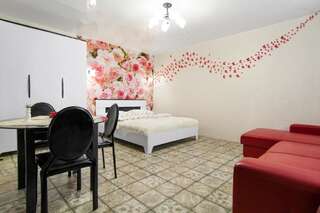 Гостевой дом Brestinlove: Rodnikovyj Guest House Брест Номер-студио с кроватью размера "king-size" и диван-кроватью-12